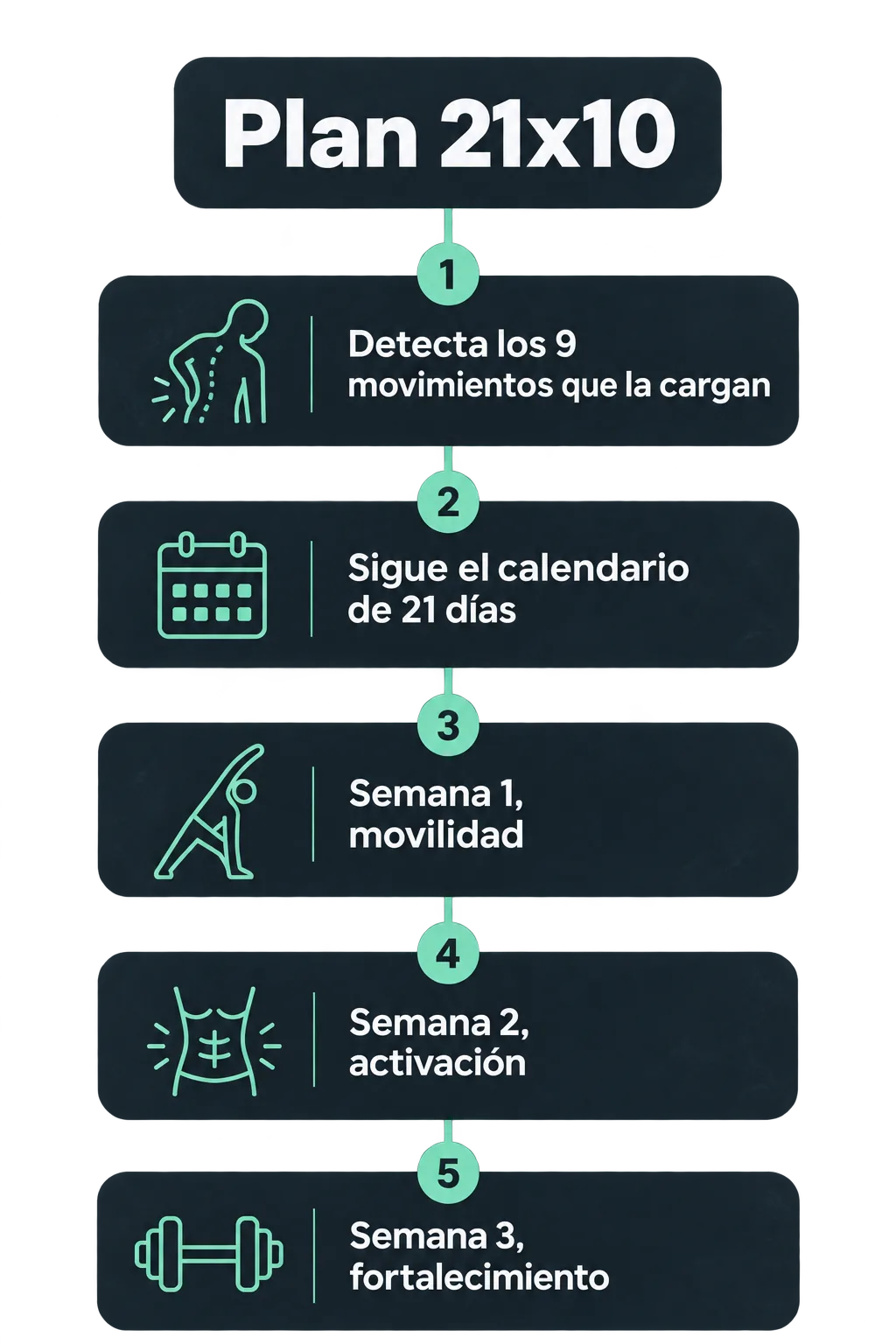 1. Detecta los 9 movimientos que la cargan. La guía te muestra qué haces a diario que suma carga a la zona lumbar y qué hacer en su lugar. 2. Sigue el calendario. Una página te dice qué rutina toca cada día, del 1 al 21. 3. Semana 1, movilidad. Diez minutos para soltar la espalda baja que pasa el día quieta. 4. Semana 2, activación. Despiertas los músculos que sostienen la zona lumbar. 5. Semana 3, fortalecimiento. Construyes el soporte que los estiramientos sueltos nunca dieron.